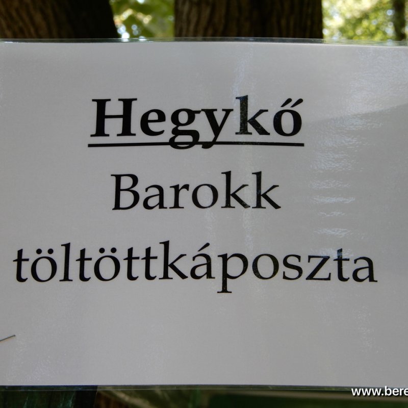 berettyóújfalu az esterházy barokk ételfőző fesztiválon 25